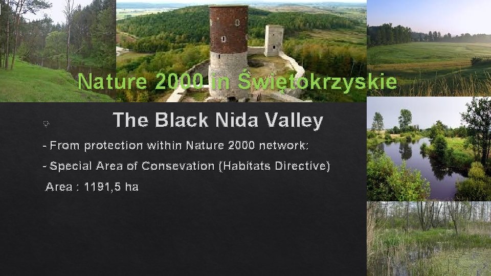 Nature 2000 in Świętokrzyskie The Black Nida Valley - From protection within Nature 2000