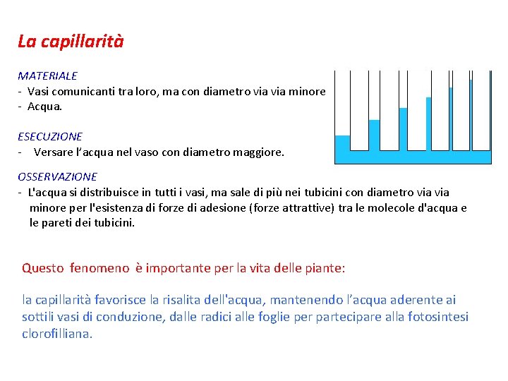 La capillarità MATERIALE - Vasi comunicanti tra loro, ma con diametro via minore -