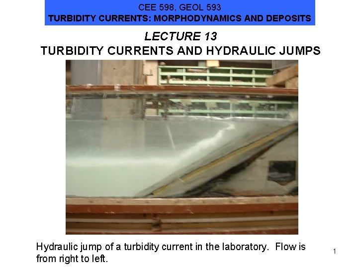 CEE 598, GEOL 593 TURBIDITY CURRENTS: MORPHODYNAMICS AND DEPOSITS LECTURE 13 TURBIDITY CURRENTS AND