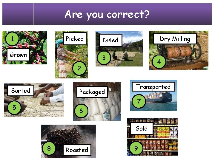 Are you correct? 1 Picked Grown Dry Milling Dried 3 4 2 Sorted Packaged