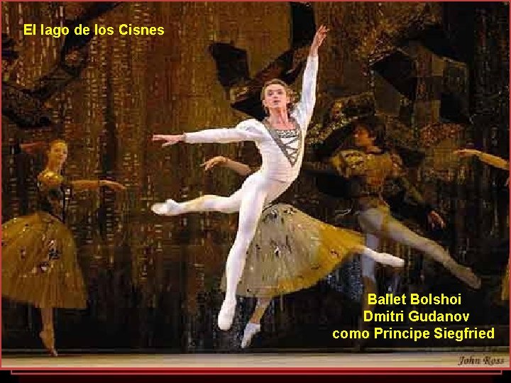 El lago de los Cisnes Ballet Bolshoi Dmitri Gudanov como Principe Siegfried 