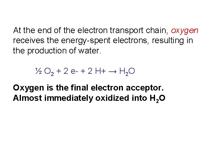 At the end of the electron transport chain, oxygen receives the energy-spent electrons, resulting At the end of the electron transport chain, oxygen receives the energy-spent electrons, resulting