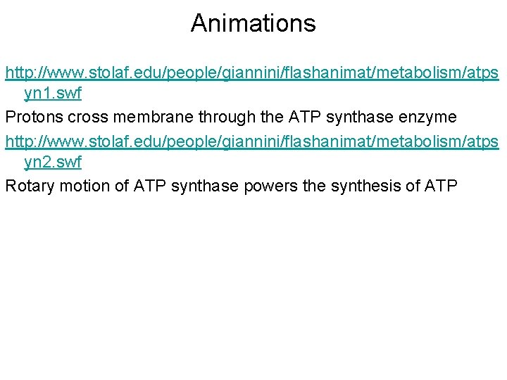 Animations http: //www. stolaf. edu/people/giannini/flashanimat/metabolism/atps yn 1. swf Protons cross membrane through the ATP Animations http: //www. stolaf. edu/people/giannini/flashanimat/metabolism/atps yn 1. swf Protons cross membrane through the ATP