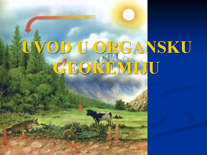 UVOD U ORGANSKU GEOKEMIJU 