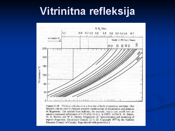 Vitrinitna refleksija 