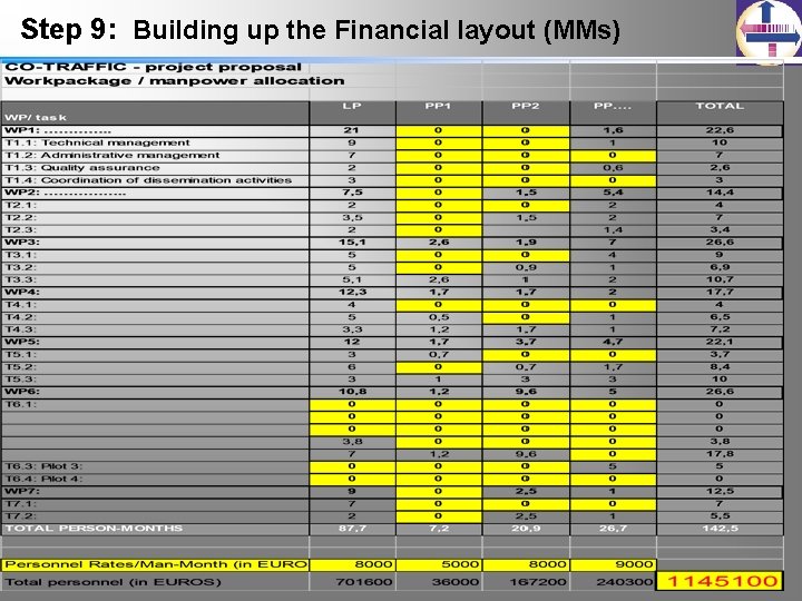 Step 9: Building up the Financial layout (MMs) 