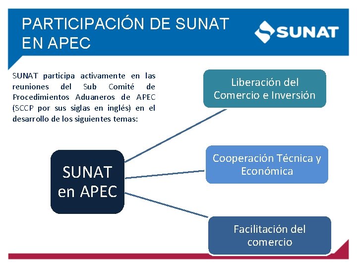 PARTICIPACIÓN DE SUNAT EN APEC SUNAT participa activamente en las reuniones del Sub Comité
