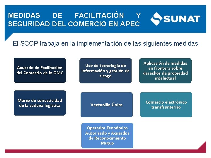 MEDIDAS DE FACILITACIÓN Y SEGURIDAD DEL COMERCIO EN APEC El SCCP trabaja en la