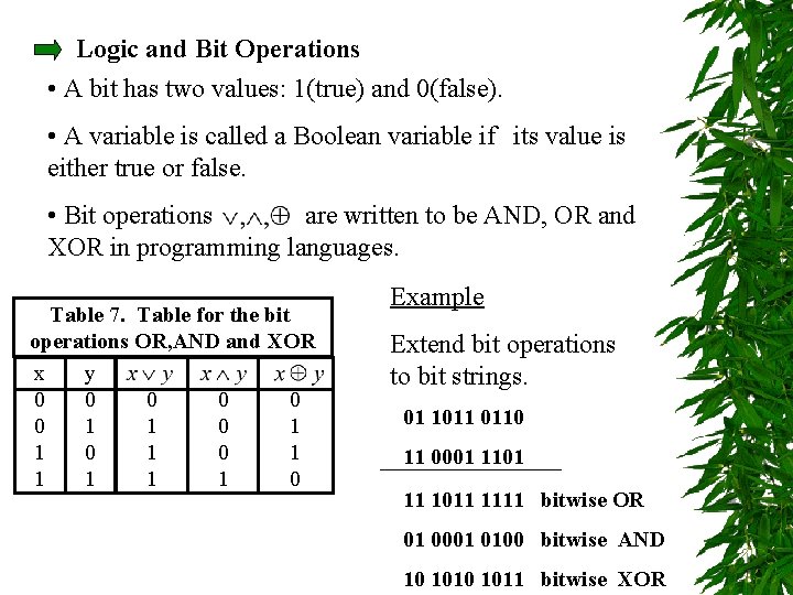 Logic and Bit Operations • A bit has two values: 1(true) and 0(false). •