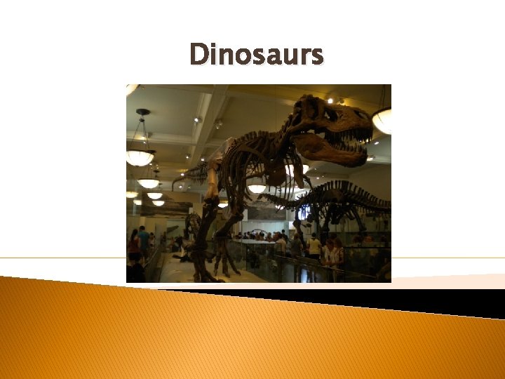 Dinosaurs Dinosaurs