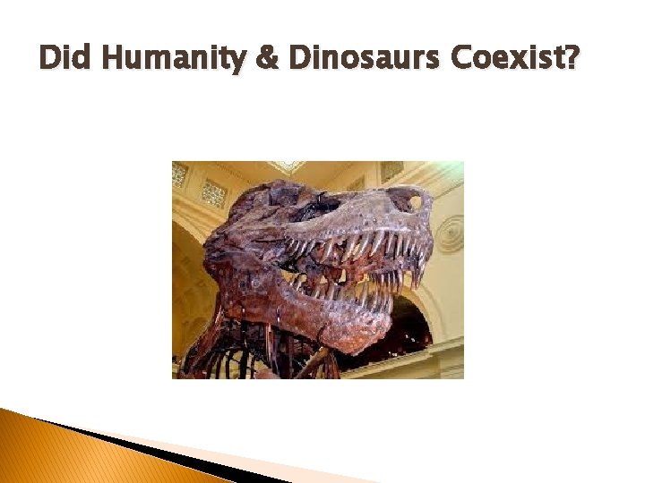 Did Humanity & Dinosaurs Coexist? Did Humanity & Dinosaurs Coexist?