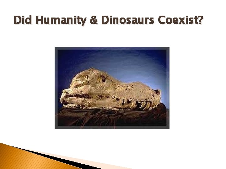 Did Humanity & Dinosaurs Coexist? Did Humanity & Dinosaurs Coexist?
