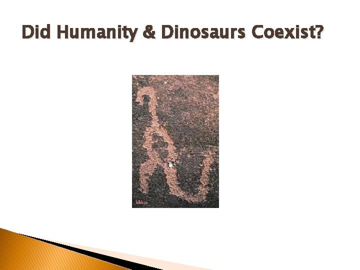 Did Humanity & Dinosaurs Coexist? Did Humanity & Dinosaurs Coexist?