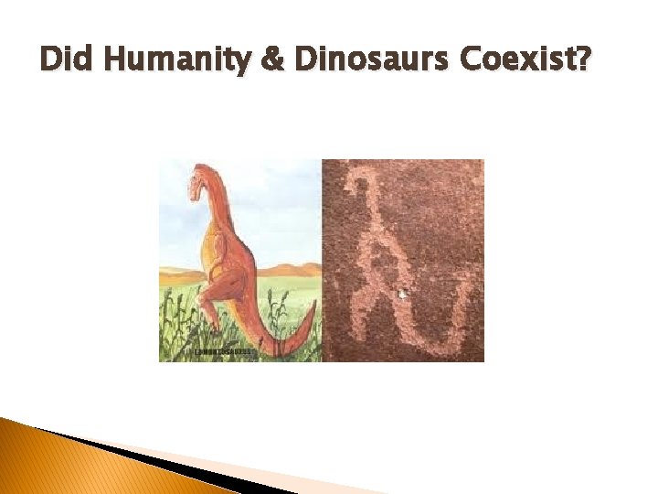 Did Humanity & Dinosaurs Coexist? Did Humanity & Dinosaurs Coexist?