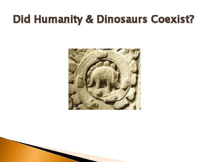 Did Humanity & Dinosaurs Coexist? Did Humanity & Dinosaurs Coexist?