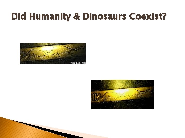 Did Humanity & Dinosaurs Coexist? Did Humanity & Dinosaurs Coexist?