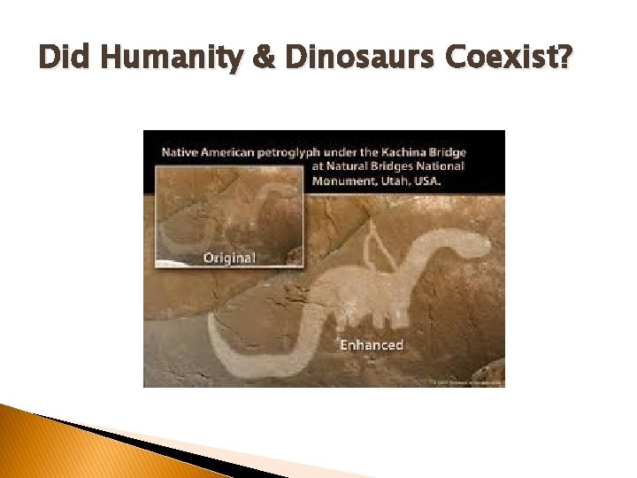 Did Humanity & Dinosaurs Coexist? Did Humanity & Dinosaurs Coexist?