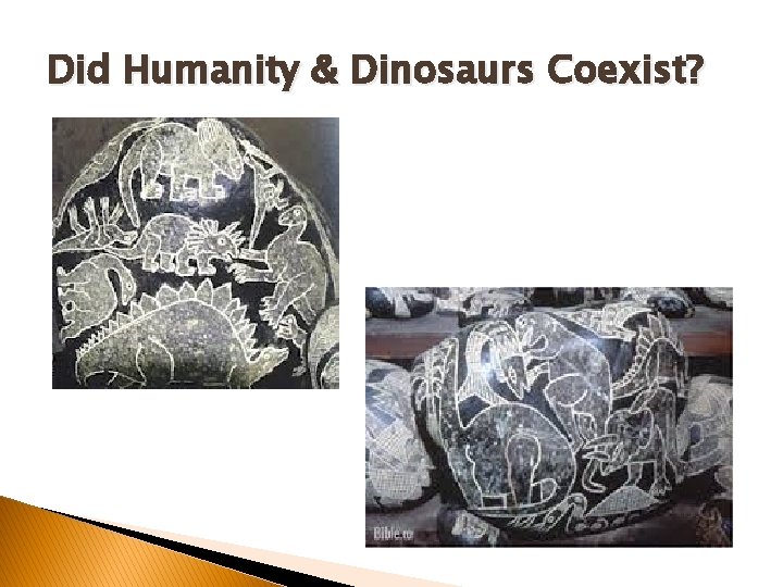 Did Humanity & Dinosaurs Coexist? Did Humanity & Dinosaurs Coexist?