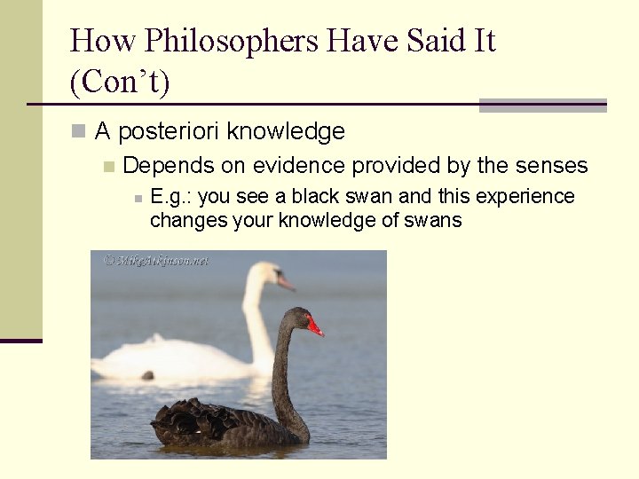 How Philosophers Have Said It (Con’t) n A posteriori knowledge n Depends on evidence