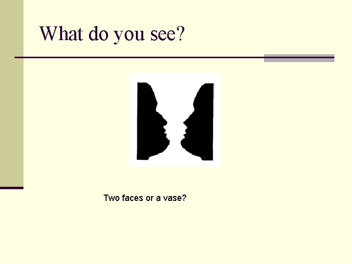 What do you see? Two faces or a vase? 