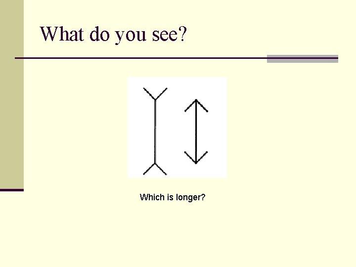 What do you see? Which is longer? 