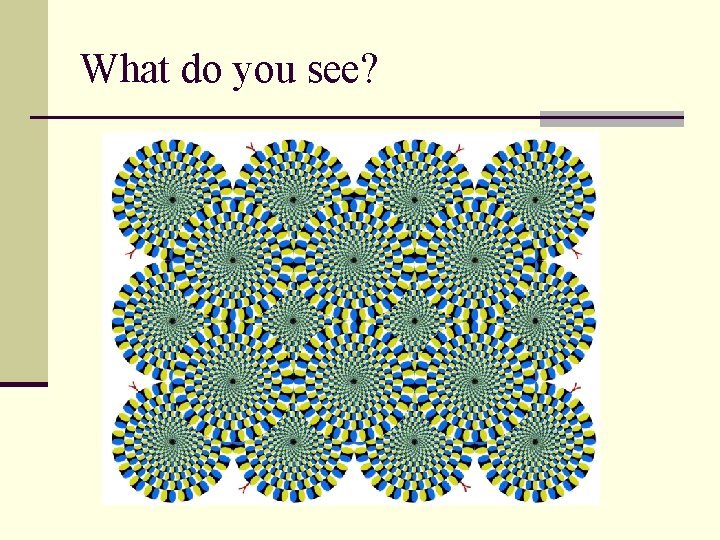 What do you see? 