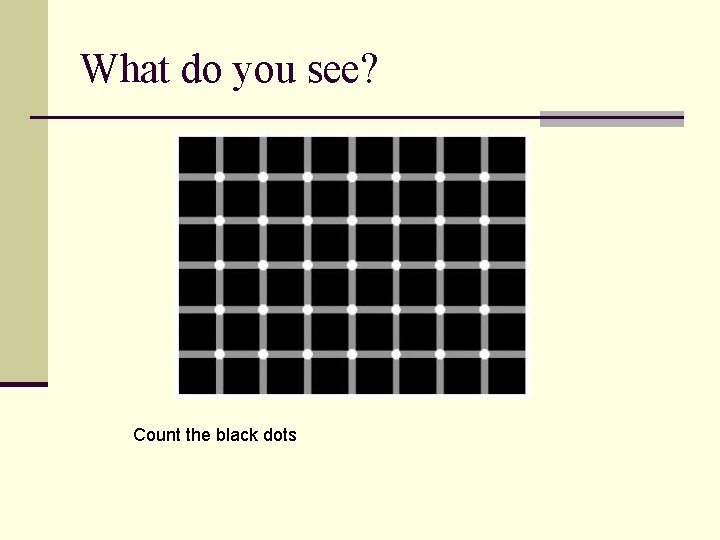 What do you see? Count the black dots 