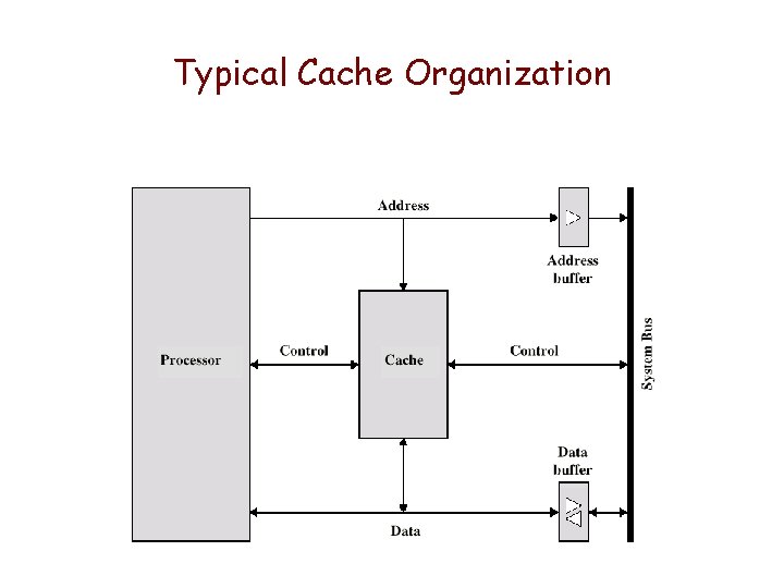 Typical Cache Organization 