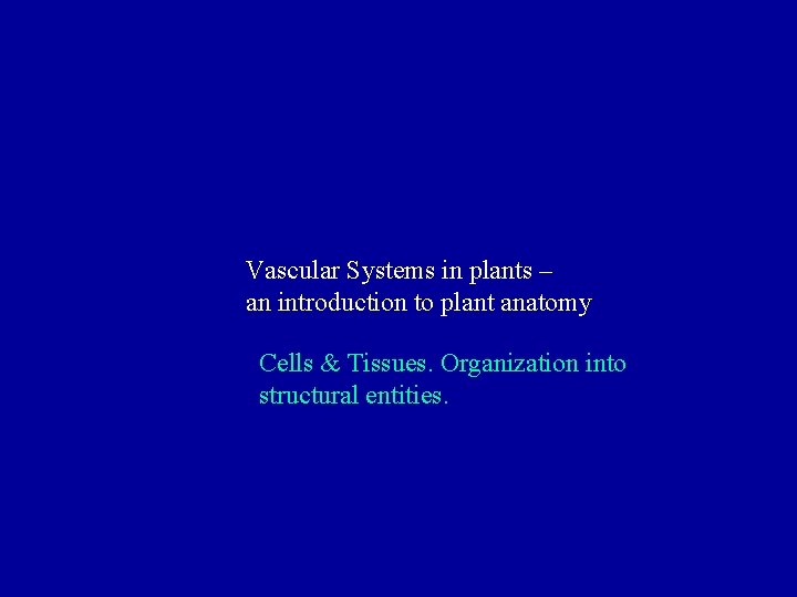 Vascular Systems in plants – an introduction to plant anatomy Cells & Tissues. Organization