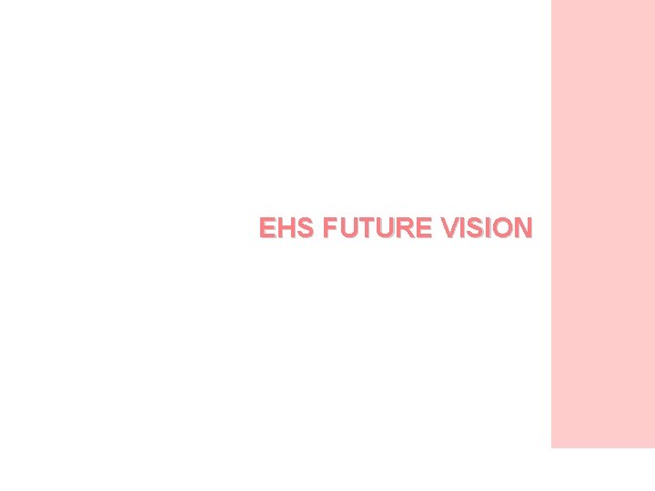 EHS FUTURE VISION 