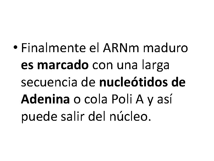  • Finalmente el ARNm maduro es marcado con una larga secuencia de nucleótidos