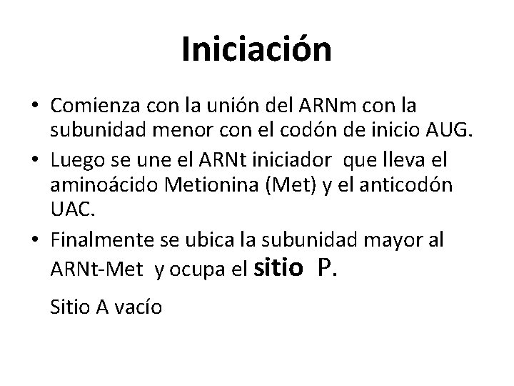 Iniciación • Comienza con la unión del ARNm con la subunidad menor con el