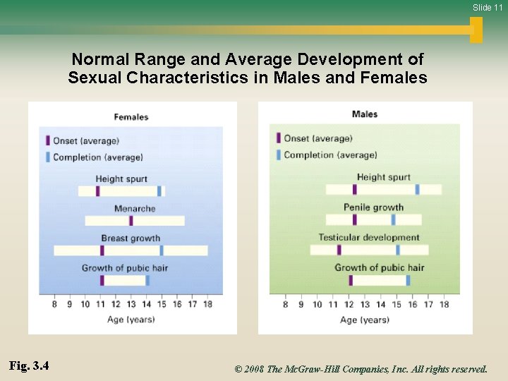 Slide 11 Normal Range and Average Development of Sexual Characteristics in Males and Females