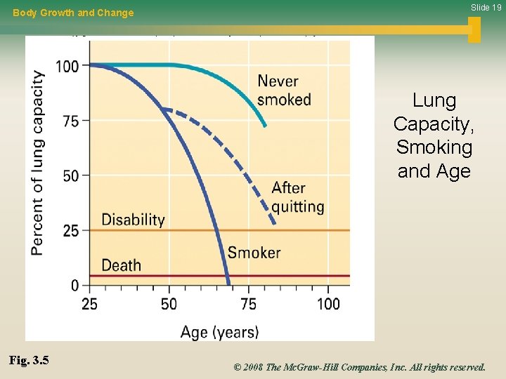 Body Growth and Change Slide 19 Lung Capacity, Smoking and Age Fig. 3. 5