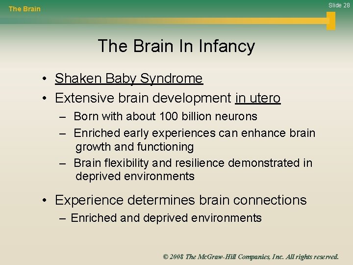 Slide 28 The Brain In Infancy • Shaken Baby Syndrome • Extensive brain development