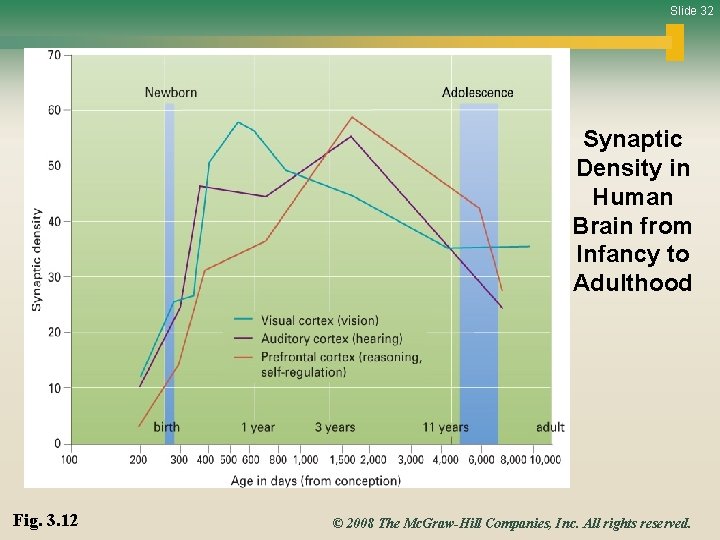 Slide 32 Synaptic Density in Human Brain from Infancy to Adulthood Fig. 3. 12