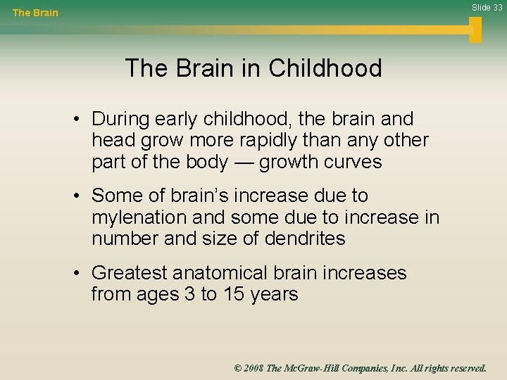 Slide 33 The Brain in Childhood • During early childhood, the brain and head