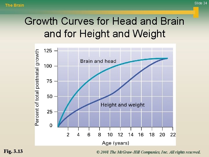 Slide 34 The Brain Growth Curves for Head and Brain and for Height and