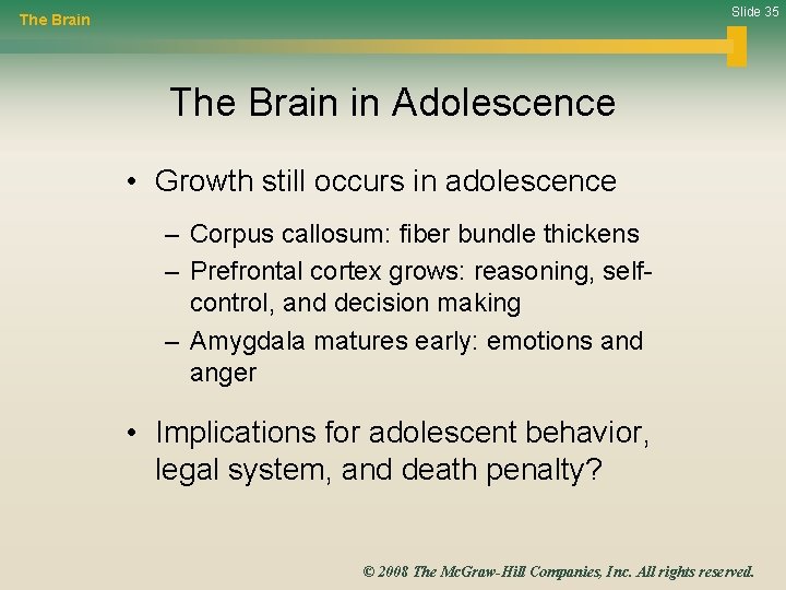 Slide 35 The Brain in Adolescence • Growth still occurs in adolescence – Corpus