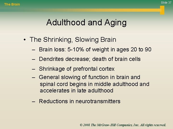 Slide 37 The Brain Adulthood and Aging • The Shrinking, Slowing Brain – Brain