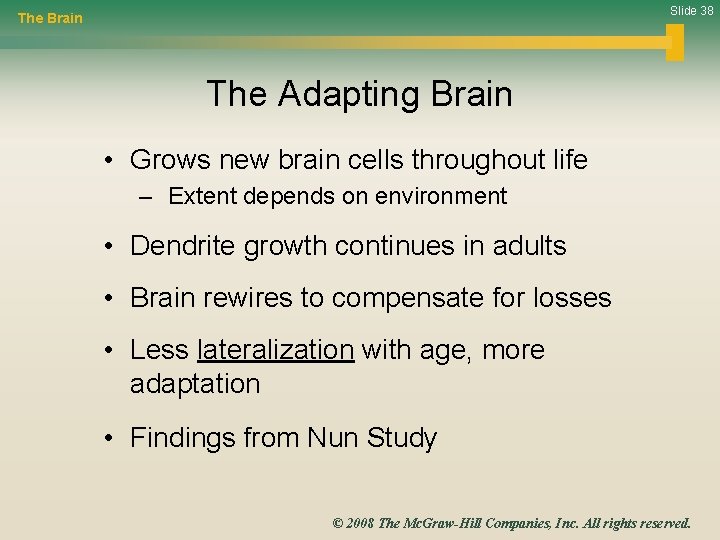 Slide 38 The Brain The Adapting Brain • Grows new brain cells throughout life