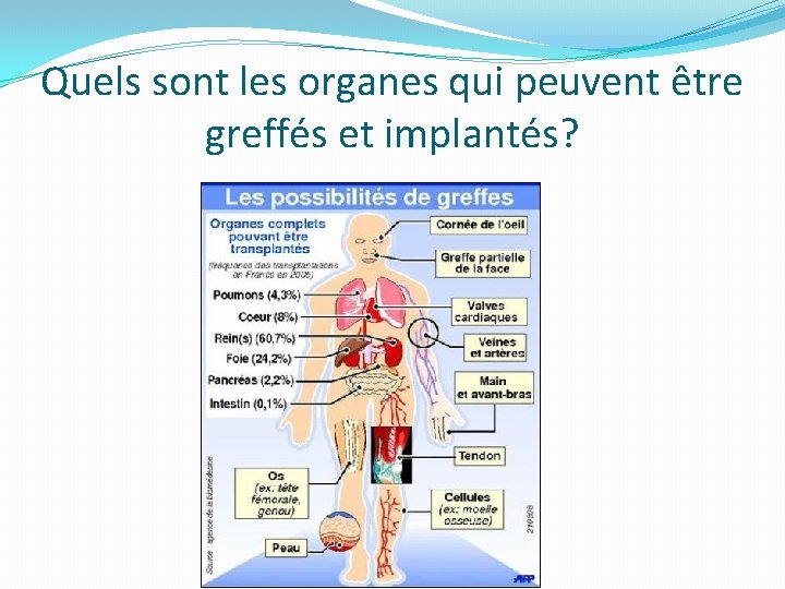 Quels sont les organes qui peuvent être greffés et implantés? 