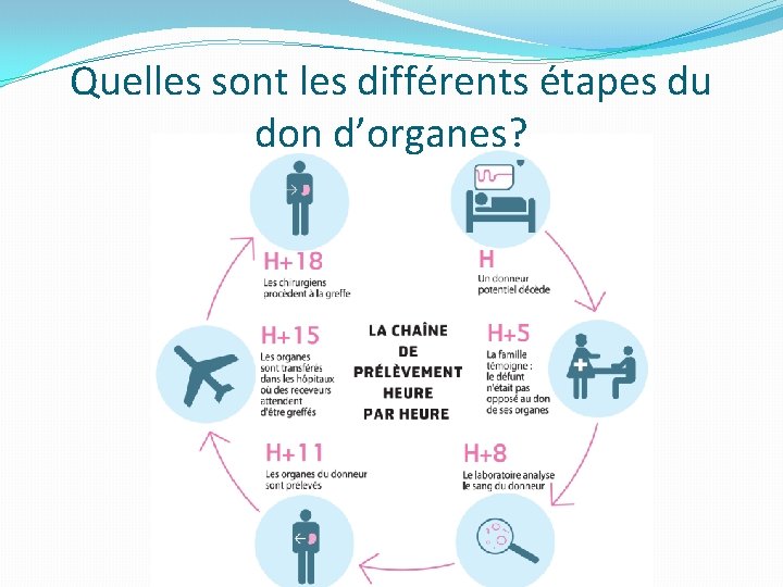 Quelles sont les différents étapes du don d’organes? 