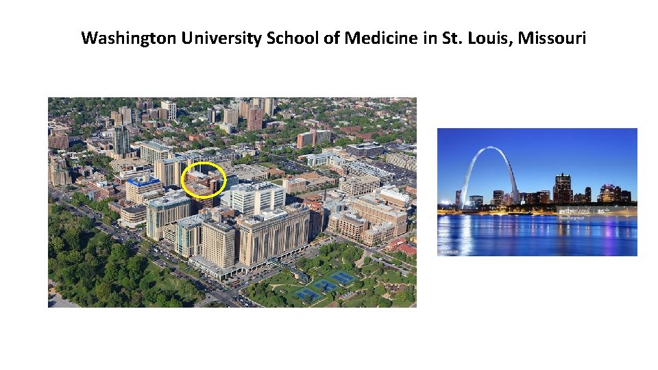 Washington University School of Medicine in St. Louis, Missouri Washington University School of Medicine in St. Louis, Missouri