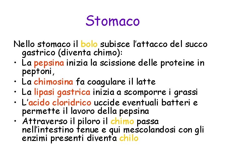 Stomaco Nello stomaco il bolo subisce l’attacco del succo gastrico (diventa chimo): • La