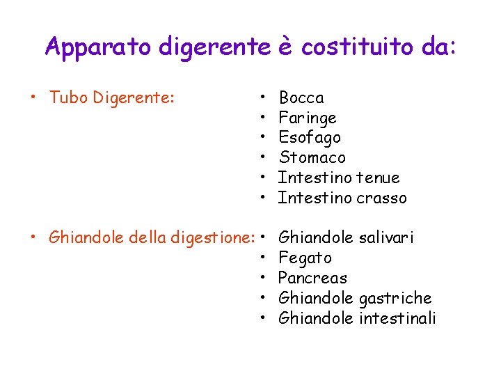 Apparato digerente è costituito da: • Tubo Digerente: • • Ghiandole della digestione: •