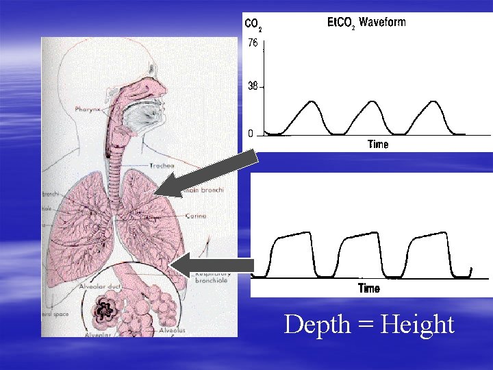 Depth = Height Depth = Height