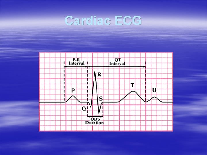 Cardiac ECG Cardiac ECG