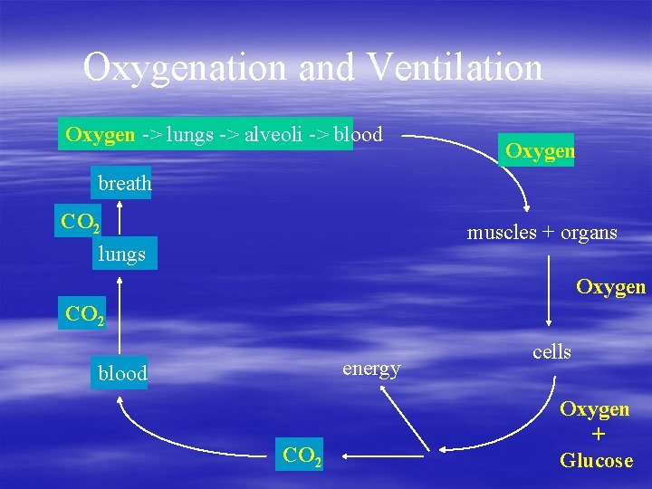 Oxygenation and Ventilation Oxygen -> lungs -> alveoli -> blood Oxygen breath CO 2 Oxygenation and Ventilation Oxygen -> lungs -> alveoli -> blood Oxygen breath CO 2