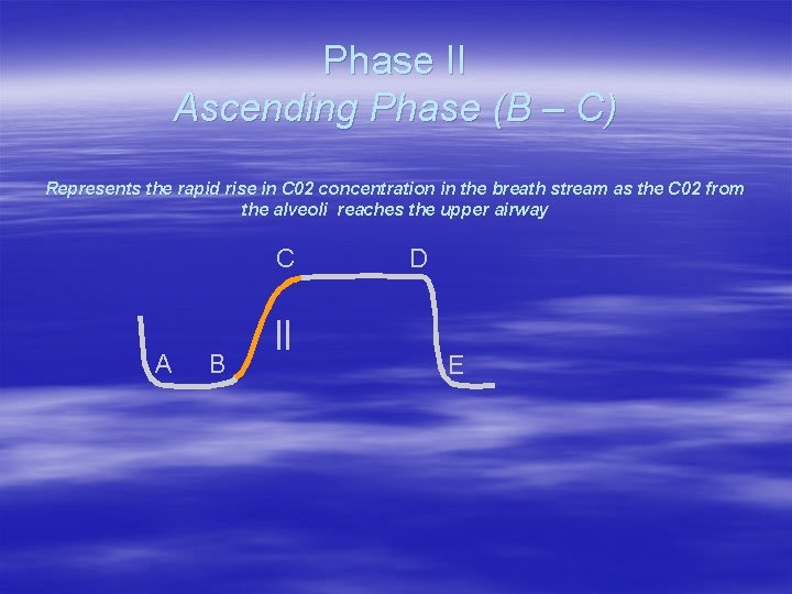 Phase II Ascending Phase (B – C) Represents the rapid rise in C 02 Phase II Ascending Phase (B – C) Represents the rapid rise in C 02